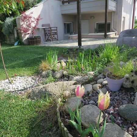 Guesthouse With Garden Komotiní Ngoại thất bức ảnh